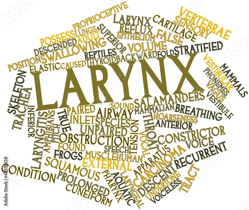 Illustration: Word cloud for Larynx Word cloud for Larynx