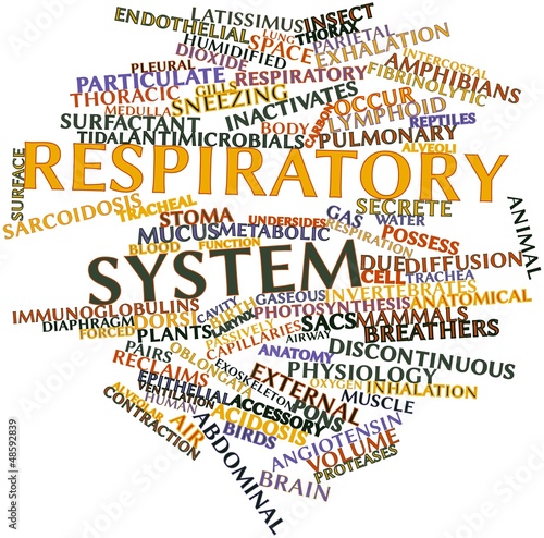 Illustration: Word cloud for Respiratory system Word cloud for Respiratory system