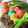 farbenfrohes Osternest