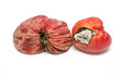 rotten tomato