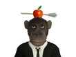 Mr.Monkey -Apple and arrow