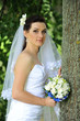 Foto: bride in white dress bride in white dress