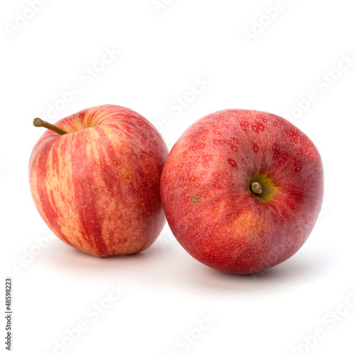 Photo: apple apple
