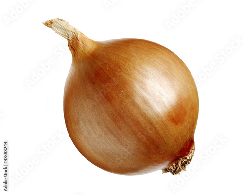 Photo: onion isolated onion isolated