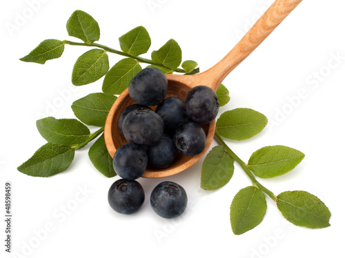 Photo: Blue bilberry or whortleberry Blue bilberry or whortleberry