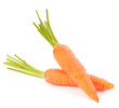 Carrot vegetable with leaves