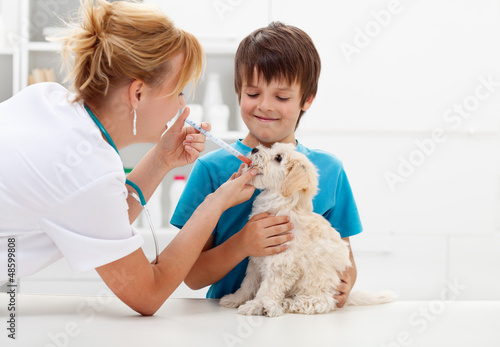 Photo: Boy at the veterinary with his dog Boy at the veterinary with his dog