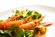 Scampi - Crostacei
