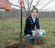 woman resetting  bush sprouts
