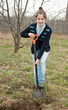 woman sets tree in garden