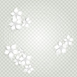 Floral background with white flowers- Sfondo con fiori bianchi