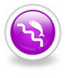 Violet Icon "Fish Ladder"