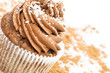 chocolate cupcakes on cocoa background with space for text
