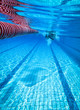 Photo: swimming in outdoor pool swimming in outdoor pool