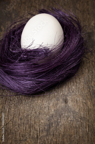 Photo: nest with egg on wooden surface nest with egg on wooden surface