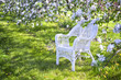 White Wicker