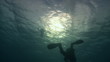 Video: Diver swims over camera. Red sea Diver swims over camera. Red sea
