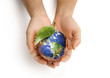 Réchauffement climatique