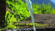 Pure water from spring.