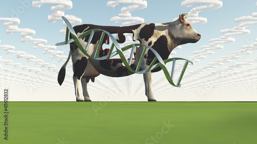 Illustration: Cow and questions clouds GMO Cow and questions clouds GMO