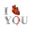 Illustration: I love you I love you