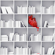 Illustration: heart on the bookshelves heart on the bookshelves