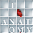 Illustration: I love anatomy I love anatomy
