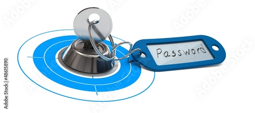 Illustration: password access, internet security, secured web password access, internet security, secured web