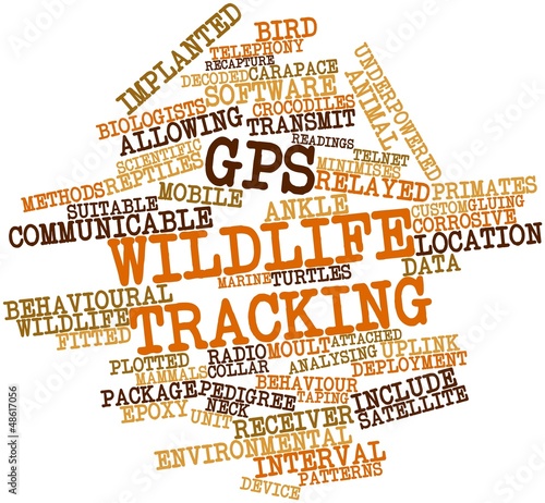 Illustration: Word cloud for GPS wildlife tracking Word cloud for GPS wildlife tracking