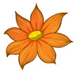 A flower