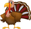 An angry turkey