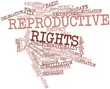 Word cloud for Reproductive rights