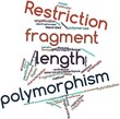 Illustration: Word cloud for Restriction fragment length polymorphism Word cloud for Restriction fragment length polymorphism
