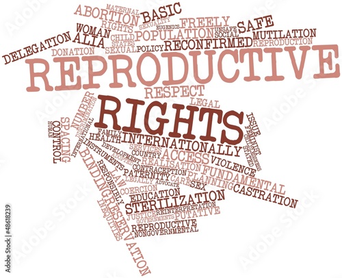 Illustration: Word cloud for Reproductive rights Word cloud for Reproductive rights