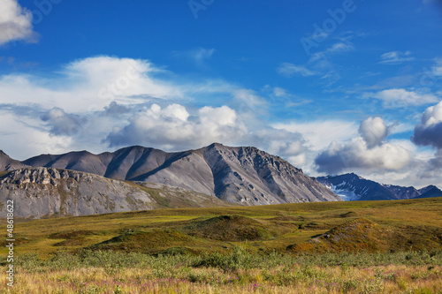 Photo: Tundra on Alaska Tundra on Alaska