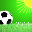 Fußball-WM 2014
