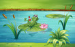 A frog