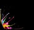 splash21801b