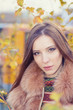 Photo: portrait of a beautiful girl in autumn leaves portrait of a beautiful girl in autumn leaves