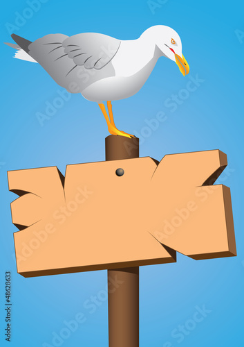Vector: seagull on the marine cartel seagull on the marine cartel