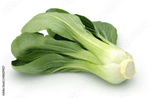 Photo: Pak Choi, Chinese cabbage Pak Choi, Chinese cabbage