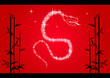 Constellation Serpent - bambous - Nouvel an Chinois