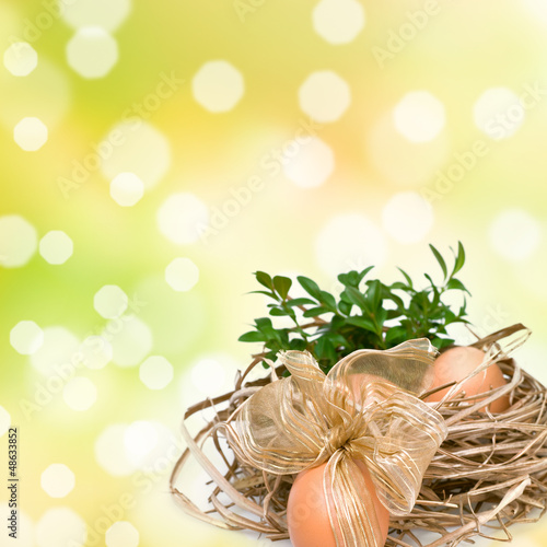 Photo: Easter eggs Easter eggs