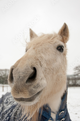 Photo: In your face In your face
