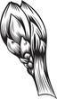 Vector: Stylized illustration of bud. Black and white style Stylized illustration of bud. Black and white style