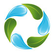 Vektor: Plant and water cycle Plant and water cycle
