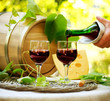 Red Wine and Cheese. Romantic Lunch Outdoor.