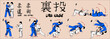 Judo Rear throw