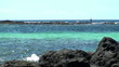 Video: A fisherman fishing in the sea of Fuerteventura A fisherman fishing in the sea of Fuerteventura