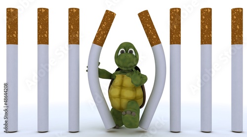 Illustration: tortoise escaping cigarette prison tortoise escaping cigarette prison